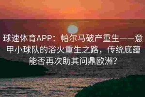 球速体育APP：帕尔马破产重生——意甲小球队的浴火重生之路，传统底蕴能否再次助其问鼎欧洲？