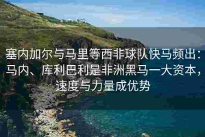 塞内加尔与马里等西非球队快马频出：马内、库利巴利是非洲黑马一大资本，速度与力量成优势