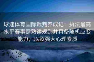 球速体育国际裁判养成记：执法最高水平赛事需熟读规则并具备随机应变能力，以及强大心理素质
