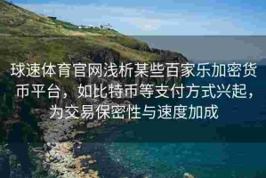 球速体育官网浅析某些百家乐加密货币平台，如比特币等支付方式兴起，为交易保密性与速度加成