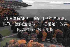 球速体育APP：适配自己的注码法，斜飞、逆向递增与“一把梭哈”的实际风险与回报比剖析