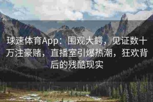 球速体育App：围观大鳄，见证数十万注豪赌，直播室引爆热潮，狂欢背后的残酷现实