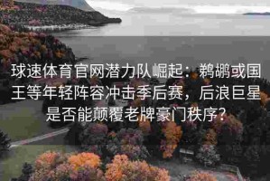 球速体育官网潜力队崛起：鹈鹕或国王等年轻阵容冲击季后赛，后浪巨星是否能颠覆老牌豪门秩序？