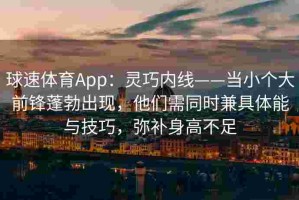 球速体育App：灵巧内线——当小个大前锋蓬勃出现，他们需同时兼具体能与技巧，弥补身高不足