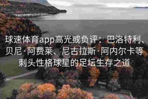 球速体育app高光或负评：巴洛特利、贝尼·阿费莱、尼古拉斯·阿内尔卡等刺头性格球星的足坛生存之道