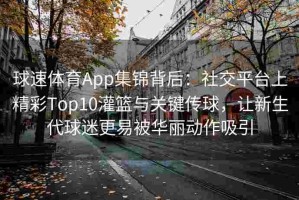 球速体育App集锦背后：社交平台上精彩Top10灌篮与关键传球，让新生代球迷更易被华丽动作吸引