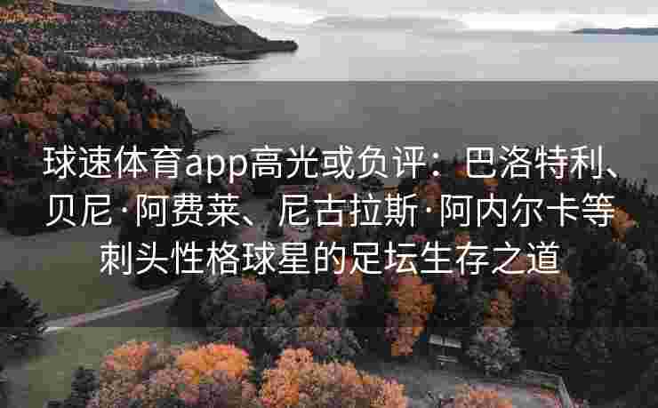 球速体育app高光或负评：巴洛特利、贝尼·阿费莱、尼古拉斯·阿内尔卡等刺头性格球星的足坛生存之道