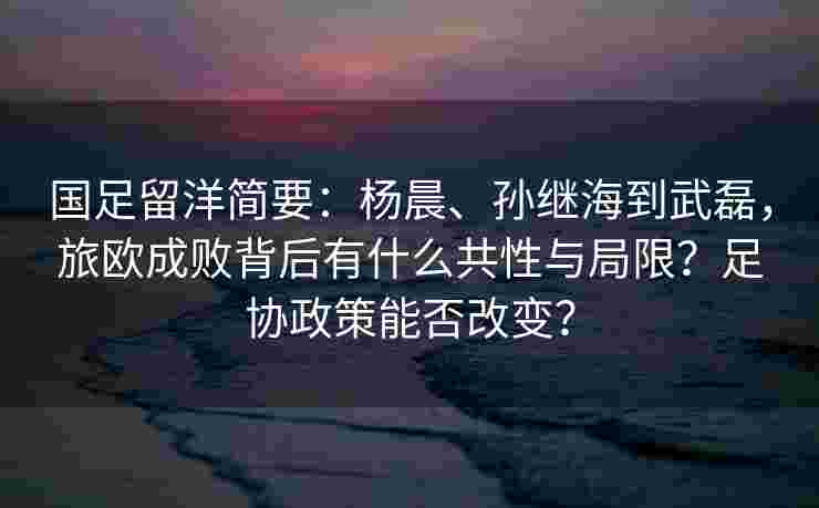 国足留洋简要：杨晨、孙继海到武磊，旅欧成败背后有什么共性与局限？足协政策能否改变？