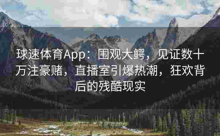 球速体育App：围观大鳄，见证数十万注豪赌，直播室引爆热潮，狂欢背后的残酷现实