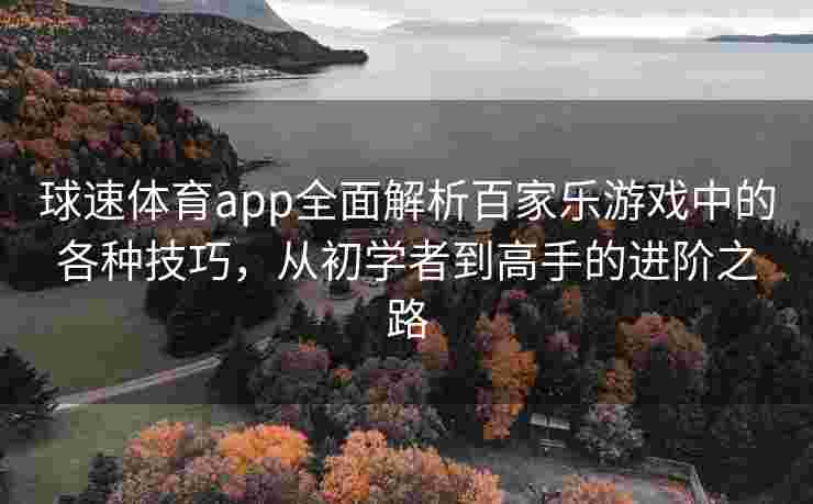 球速体育app全面解析百家乐游戏中的各种技巧，从初学者到高手的进阶之路