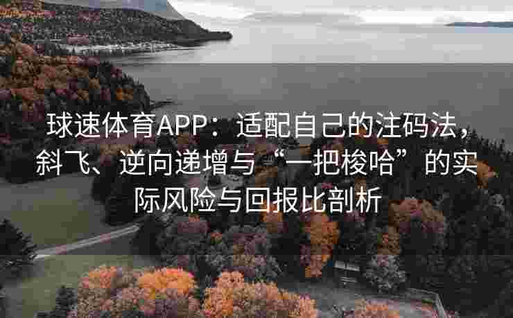 球速体育APP：适配自己的注码法，斜飞、逆向递增与“一把梭哈”的实际风险与回报比剖析
